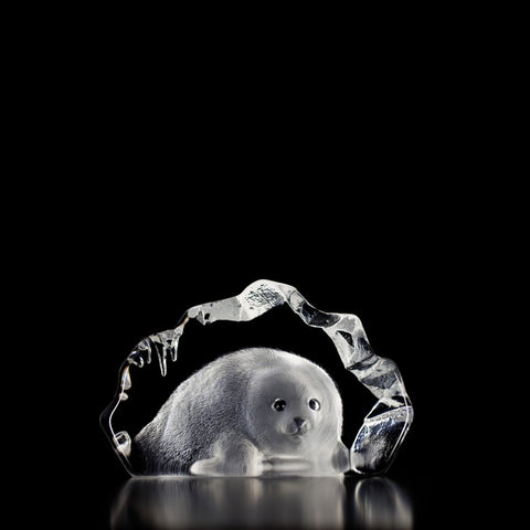 Baby Seal I | 33150 | Maleras Crystal Decor