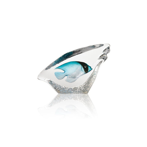 Coral Fish (Turquoise) | 34294 | Maleras Crystal Decor