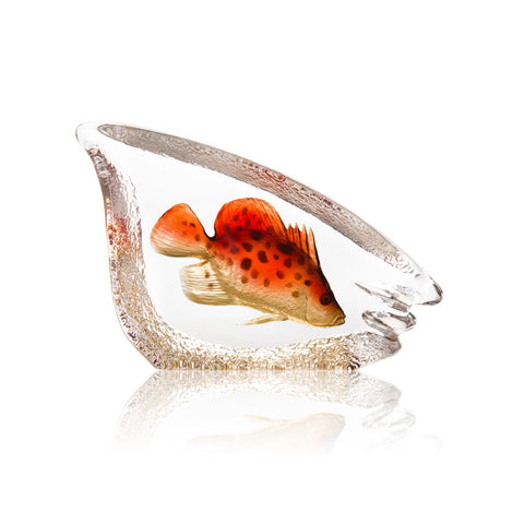 Spotted Coral Fish I | 34297 | Maleras Crystal Decor