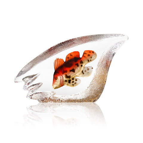 Spotted Coral Fish II | 34298 | Maleras Crystal Decor
