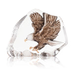 Eagle in Flight (Painted) | 34087 | Maleras Crystal Decor