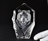 Tiger Face