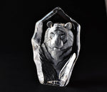 Tiger Face