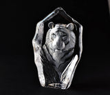 Tiger Face