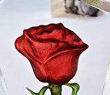 Fantasy Rose